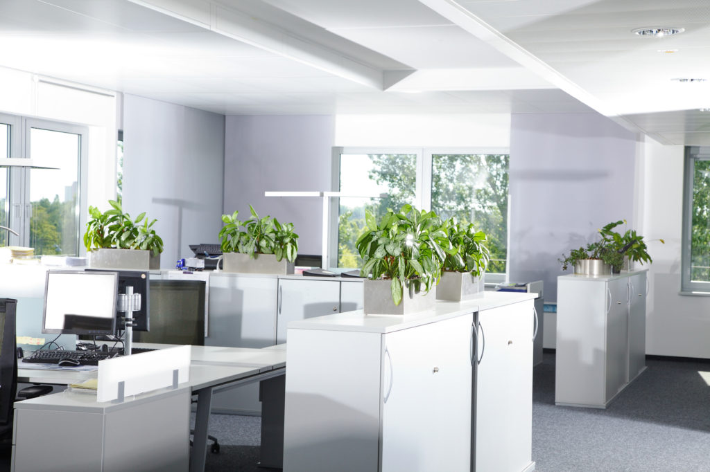 Commercial Office Cleaning